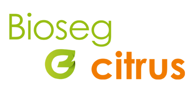 Grupo Bioseg